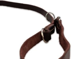 Multifunctionele Hondenriem - 220cm - Bruin - Leren Hondenriem - 100% Volnerfleer - Hondenriem Leer - Leiband Hond 17 Multifunctionele Hondenriem - 220cm - Bruin - Leren Hondenriem - 100% Volnerfleer - Hondenriem Leer - Leiband Hond -Huisdierbenodigdheden 1200x993
