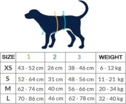 AnnyX Hondentuig - FUN - LIMTED EDITION - Speurtuig - Camouflage - Legergroen - Maat S - Borstomvang 52-64cm - Gewicht Hond 9 -19 Kg - My K9 -Huisdierbenodigdheden 1200x995