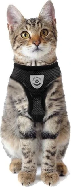 Merkloos Kattentuigje Met Looplijn | Zwart Kattenharnas | Easy Step In | Kattenriem | Kattenlijn | Kattentuig | Maat S -Huisdierbenodigdheden 457x1200