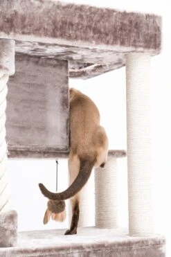 Petrebels Lodge 107 Krabpaal - Cappuccino - Design - Zeer Stabiel 20 Petrebels Lodge 107 Krabpaal - Cappuccino - Design - Zeer Stabiel -Huisdierbenodigdheden 800x1200 10