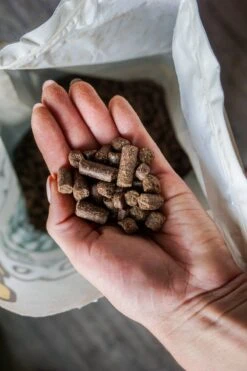 Huisdierbenodigdheden -Huisdierbenodigdheden 800x1200