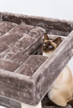 Petrebels Lodge 107 Krabpaal - Cappuccino - Design - Zeer Stabiel 22 Petrebels Lodge 107 Krabpaal - Cappuccino - Design - Zeer Stabiel -Huisdierbenodigdheden 810x1200 1