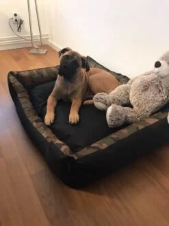 Hondenmand Cordura XXXL – Donkergrijs - 125 X 90 X 24 Cm 14 Hondenmand Cordura XXXL – Donkergrijs - 125 X 90 X 24 Cm -Huisdierbenodigdheden 900x1200 13