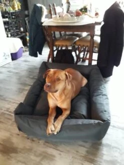 Hondenmand Cordura XXXL – Donkergrijs - 125 X 90 X 24 Cm 16 Hondenmand Cordura XXXL – Donkergrijs - 125 X 90 X 24 Cm -Huisdierbenodigdheden 900x1200 14