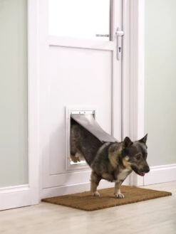 Petsafe 660 Hondenluik - Tot 100 Kg - Aluminium -Huisdierbenodigdheden 900x1200 4