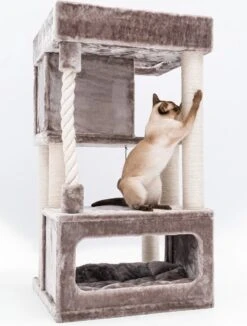 Petrebels Lodge 107 Krabpaal - Cappuccino - Design - Zeer Stabiel 16 Petrebels Lodge 107 Krabpaal - Cappuccino - Design - Zeer Stabiel -Huisdierbenodigdheden 908x1200