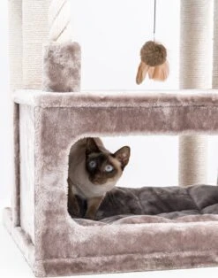 Petrebels Lodge 107 Krabpaal - Cappuccino - Design - Zeer Stabiel 21 Petrebels Lodge 107 Krabpaal - Cappuccino - Design - Zeer Stabiel -Huisdierbenodigdheden 943x1200