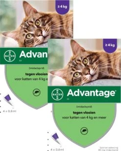 Bayer Advantage 80 Kat 4 Pip - Anti Vlooienmiddel - 2 X 0.8 Ml - > 4 Kg -Huisdierbenodigdheden 965x1200