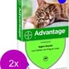 Bayer Advantage 80 Kat 4 Pip - Anti Vlooienmiddel - 2 X 0.8 Ml - > 4 Kg -Huisdierbenodigdheden 968x1200